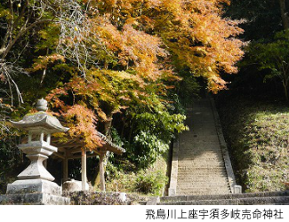 飛鳥川上座宇須多岐売命神社