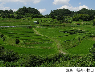 稲渕棚田